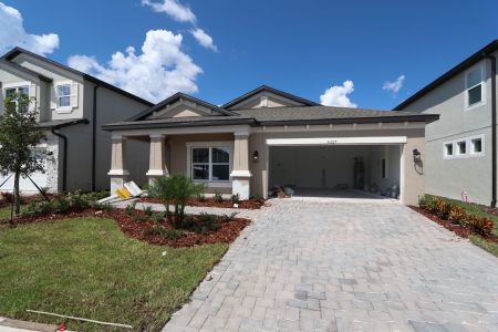 New construction Single-Family house 33227 Amling Pecan Br, Wesley Chapel, FL 33545 Newport II- photo 40 40