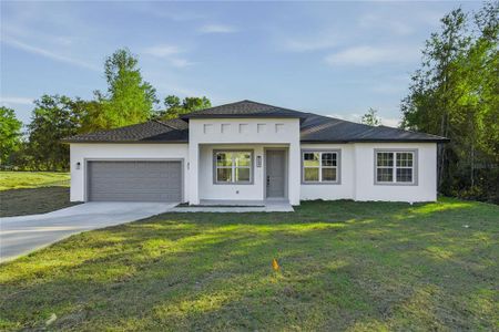 New construction Single-Family house 13690 Sw 43Rd Cir, Ocala, FL 34473 - image