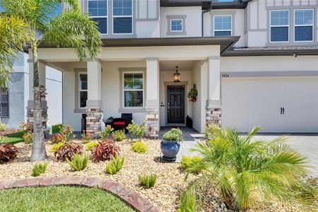 New construction Single-Family house 5026 Bromeliad Ave, Wimauma, FL 33598 Salinas- photo 6 6