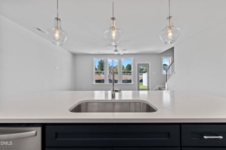 New construction Townhouse house 8907 Kennebec Crossing Dr, Unit 61, Angier, NC 27501 - image 11