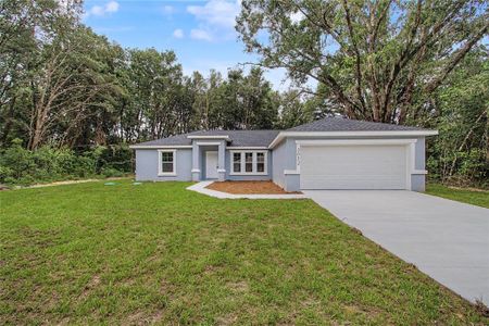 New construction Single-Family house 3032 Se 140Th Pl, Summerfield, FL 34491 - image