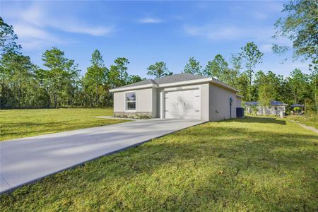 New construction Single-Family house 15701 Ne 10Th St, Williston, FL 32696 - image