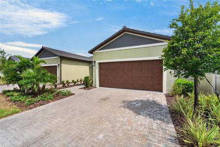 New construction Single-Family house 12569 Lily Quartz Lp, Parrish, FL 34219 - image
