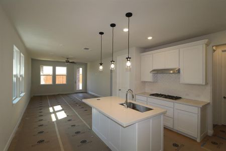 New construction Single-Family house 433 Cherry Laurel Dr, Oak Point, TX 75068 Sonata- photo 2 2