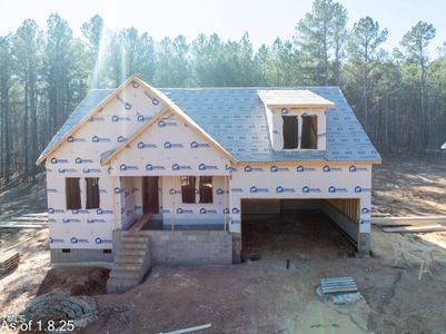 New construction Single-Family house 95 Purslane Dr, Franklinton, NC 27525 - photo 0