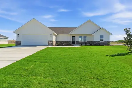 New construction Single-Family house 141 Zaragosa Dr, Lipan, TX 76462 - image