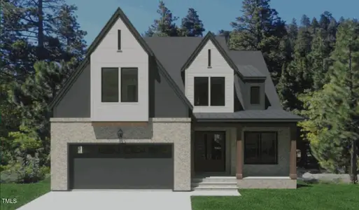 New construction Single-Family house 2534 Vining Branch Wy, Apex, NC 27523 - image