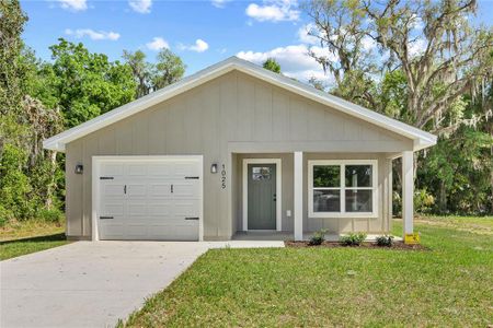 New construction Single-Family house 1025 Cr 452A, Lake Panasoffkee, FL 33538 - image