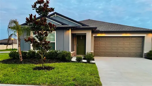 New construction Single-Family house 2141 Lanier Rd, Zephyrhills, FL 33541 - image