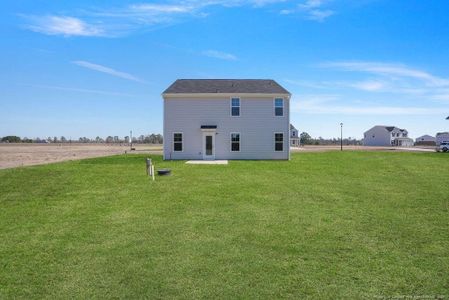 New construction Single-Family house 163 Buggy Top Ln, Autryville, NC 28318 plan Dogwood - image