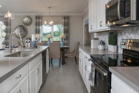 Bargrove Estates by Landsea Homes in Mount Dora - photo 27 27