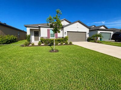 New construction Single-Family house 9808 Last Light Gln, Parrish, FL 34219 - image