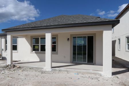 New construction Single-Family house 31236 Denham Ridge Ln, Wesley Chapel, FL 33545 Santa Monica- photo 75 75