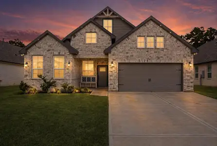New construction Single-Family house 409 Little Spring Ct, Anahuac, TX 77514 - image
