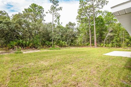 New construction Single-Family house 1864 W Swanson Dr, Citrus Springs, FL 34434 null- photo 30 30