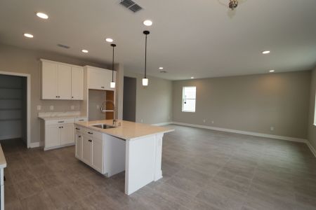 New construction Single-Family house 30988 Pendleton Landing Cir, Wesley Chapel, FL 33545 Cypress- photo 88 88