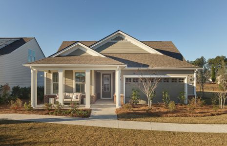 New construction Single-Family house 631 Coral Bells Ln, Summerville, SC 29486 plan Palmary - image
