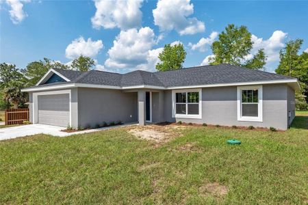 New construction Single-Family house 2 Hemlock Ter Dr, Ocala, FL 34472 null- photo 2 2