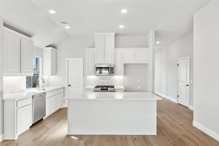 New construction Single-Family house 117 Red Cedar Ct, Balch Springs, TX 75181 null- photo 11 11