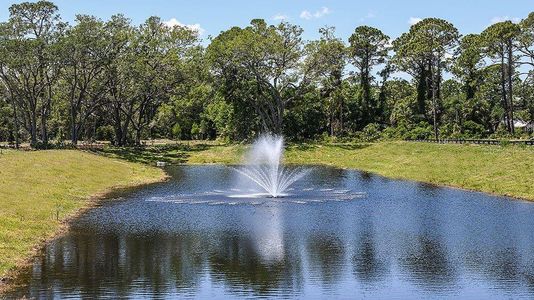 New construction Single-Family house 146 Jones Fish Camp Rd, Edgewater, FL 32141 Cypress- photo 14 14