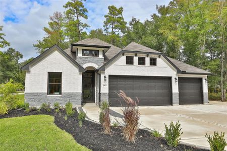 New construction Single-Family house 2803 Parthenon Pl, New Caney, TX 77357 - image