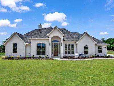 New construction Single-Family house 1054 Alex Dr, Springtown, TX 76082 null- photo 0