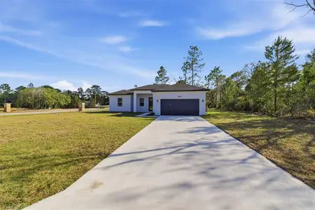 New construction Single-Family house 2652 W Paragon Ln, Dunnellon, FL 34433 - image