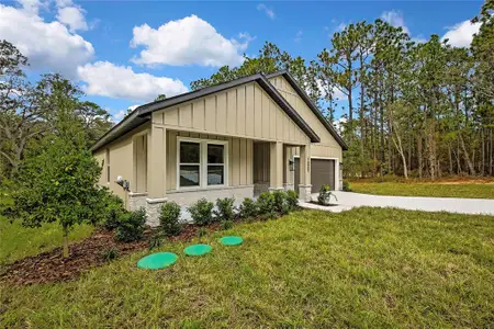 New construction Single-Family house 16007 Magpie Rd, Weeki Wachee, FL 34614 plan Juliet  - image