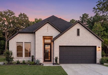 New construction Single-Family house 2580 Gideon Ln, New Braunfels, TX 78130 plan Fairwind - image