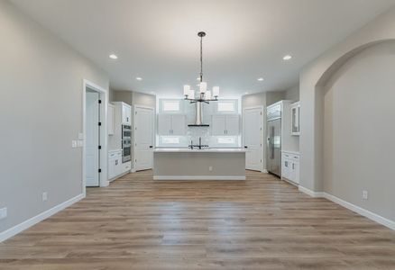 New construction Single-Family house 588 E Peach Tree St, San Tan Valley, AZ 85140 Palermo- photo 11 11