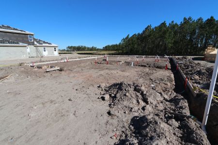 New construction Single-Family house 1878 Drummond Pt, Zephyrhills, FL 33541 Corina II Bonus- photo 5 5