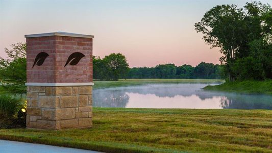 New construction Single-Family house 30303 Crossfield Ct, Fulshear, TX 77441 null- photo 5 5