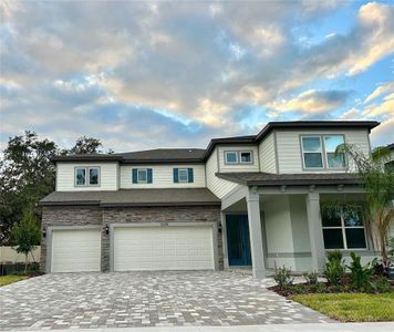 New construction Single-Family house 11375 Osprey Preserve Place, Riverview, FL 33569 - photo 0