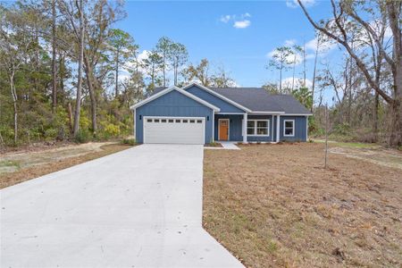 New construction Single-Family house 11231 Nw 92Nd Ct, Chiefland, FL 32626 - image