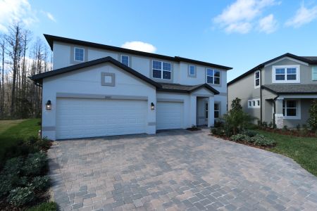 New construction Single-Family house 20125 Oriana Loop, Land O' Lakes, FL 34638 Santina II- photo 198 198