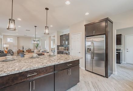 New construction Single-Family house 631 E Peach Tree St, Queen Creek, AZ 85140 Cannes Elevation B- photo 7 7