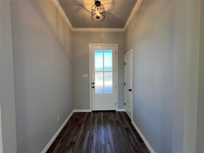 Doorway to outside with ornamental molding and dark wood-type flooring