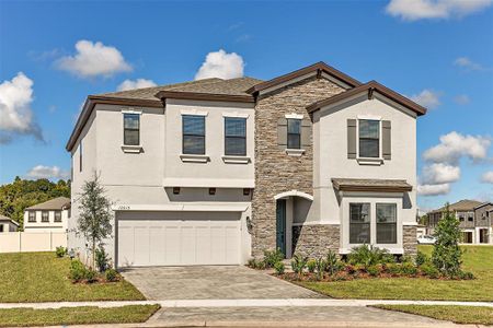 New construction Single-Family house 13041 Wellspring Drive, Lithia, FL 33547 - photo 0