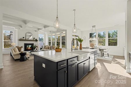 New construction Single-Family house 1059 Sage Pine Cir, Clover, SC 29710 - image 8