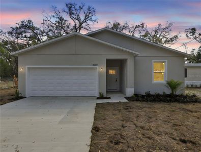 New construction Single-Family house 24534 Paul St, Sorrento, FL 32776 - image