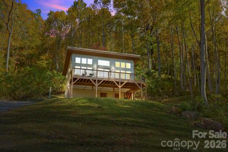 New construction Single-Family house 96 Old Cove Rd, Black Mountain, NC 28711 - image