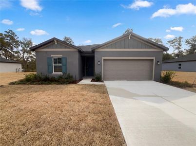 New construction Single-Family house 8281 Sw 196Th Court Rd, Dunnellon, FL 34432 plan Goodall - image