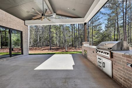 New construction Single-Family house 25043 Balmorhea Wy, Montgomery, TX 77316 - image