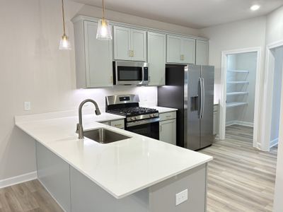 New construction Single-Family house 119 Rock Cress Trl, Greenville, SC 29607 plan The Princeton B - image 5