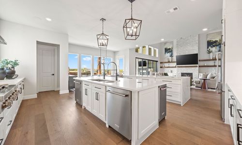 New construction Single-Family house 5490 Fm1377, Princeton, TX 75407 plan Rushmore - image 13