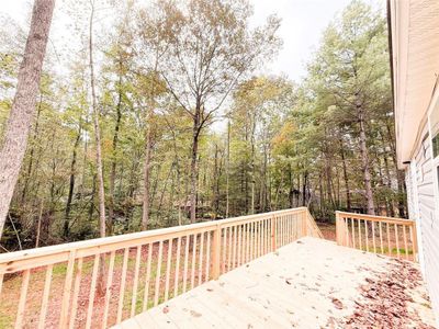 New construction Single-Family house 179 Pine Brook Dr, Cleveland, GA 30528 - image