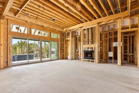 New construction Single-Family house 2116 Comal Spgs, Canyon Lake, TX 78133 - image 15