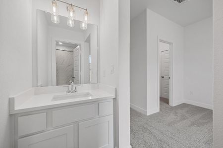 New construction Single-Family house 7413 Desert Needle Dr, Lago Vista, TX 78645 plan The Carter IX - image 11