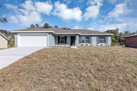 New construction Single-Family house 3068 Sw 131St Place Road, Ocala, FL 34473 Banyan- photo 0