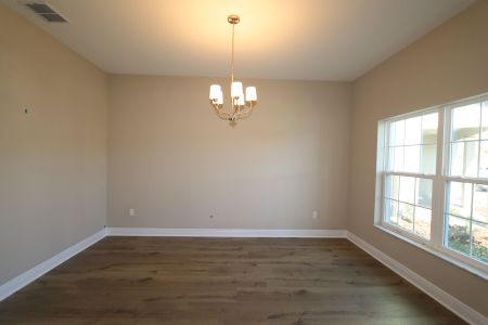 New construction Single-Family house 20125 Oriana Loop, Land O' Lakes, FL 34638 Santina II- photo 185 185